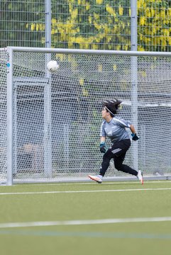 Bild 215 - F SV Eidelstedt - SC Alstertal-Langenhorn : Ergebnis: 2:7